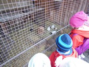 Výlet do Ekocentra Mladá Boleslav - Jaro všemy smysly